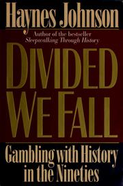Divided we fall : gambling with history in the nineties /
