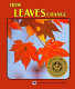 How leaves change /