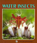 Water insects /