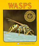 Wasps /