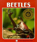 Beetles /