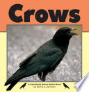 Crows /