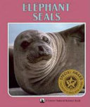 Elephant seals /