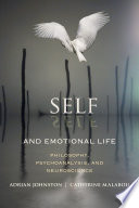 Self and emotional life : philosophy, psychoanalysis, and neuroscience /