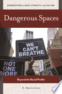 Dangerous spaces : beyond the racial profile /