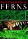 Encyclopaedia of ferns : an introduction to ferns, their structure, biology, economic importance, cultivation and propagation /