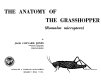 The anatomy of the grassshopper (Romalea microptera) /