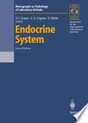 Endocrine System /
