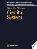 Genital System /
