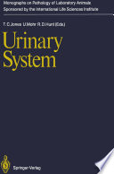 Urinary System /