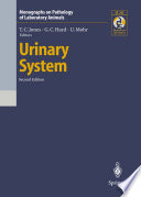 Urinary System /