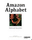 Amazon alphabet /