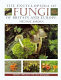 The encyclopedia of fungi of Britain and Europe /