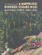 A marvelous hundred square miles : Black Hills tourism, 1880-1941 /