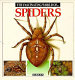 The fascinating world of spiders /