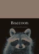 Raccoon /