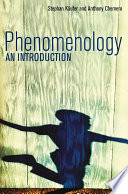 Phenomenology : an introduction /