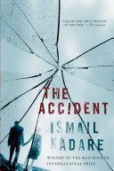 The accident : a novel /