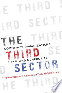 The third sector : community organizations, NGOs, and nonprofits /