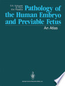 Pathology of the Human Embryo and Previable Fetus : An Atlas /