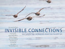 Invisible connections : why migrating shorebirds need the Yellow Sea /