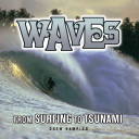 Waves : from surfing to tsunami /