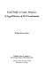 Civil strife in Latin America : a legal history of U.S. involvement.