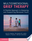 Multidimensional grief therapy : a flexible approach to assessing and supporting bereaved youth /