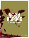 Anish Kapoor : shooting into the corner /