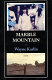 Marble mountain : a novel /