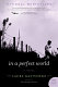 In a perfect world : a novel /