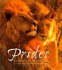 Prides : the lions of Moremi /