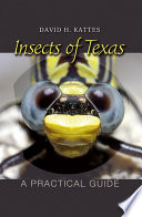 Insects of Texas : a practical guide /