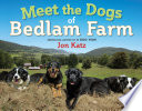 Meet the dogs of Bedlam Farm /