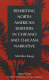 Rewriting North American borders in Chicano and Chicana narrative /