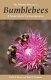 The natural history of bumblebees : a sourcebook for investigations /