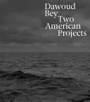 Dawoud Bey : two American projects /