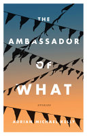 The ambassador of what : stories /