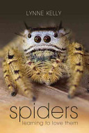 Spiders : learning to love them /