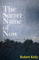 The secret name of now  : poems, 2009-2012 /