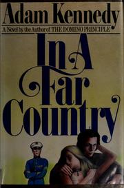 In a far country : a novel /