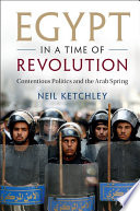 Egypt in a time of revolution : contentious politics and the Arab Spring /
