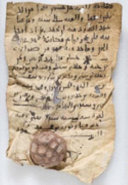 Arabic documents from early Islamic Khurasan /