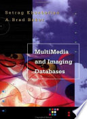 Multimedia and imaging databases /