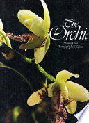 The orchid /