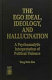 The ego ideal, ideology, and hallucination : a psychoanalytic interpretation of political violence /