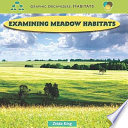 Examining meadow habitats /