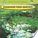 Examining pond habitats /