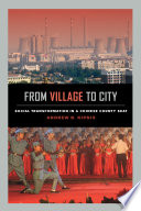 From village to city : social transformation in a Chinese county seat /