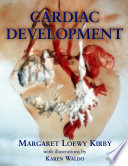 Cardiac development /